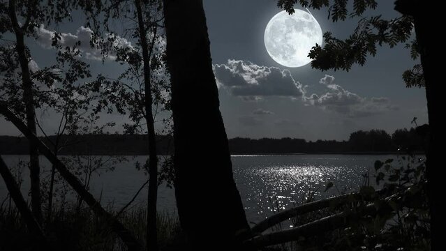 Full moon night nature landscape with forest lake