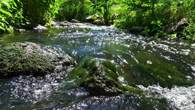 Clear Mountain Stream in Summer - Motion blur