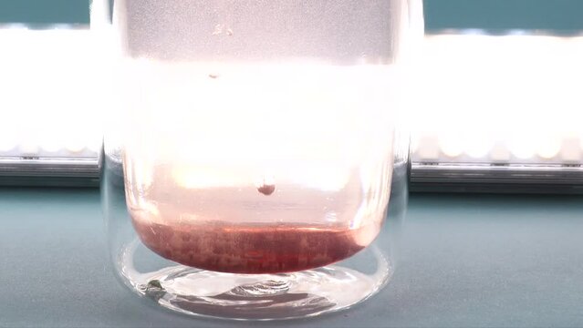 Collagen dissolves in a glass of water. Superfood additives. Close-up.