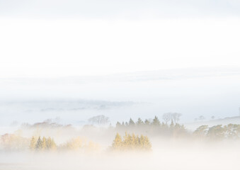Misty rural Northumberland landscape in winter