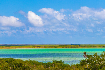 Muyil Lagoon panorama view in tropical jungle of amazing Mexico.