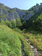 mountain river in the mountains