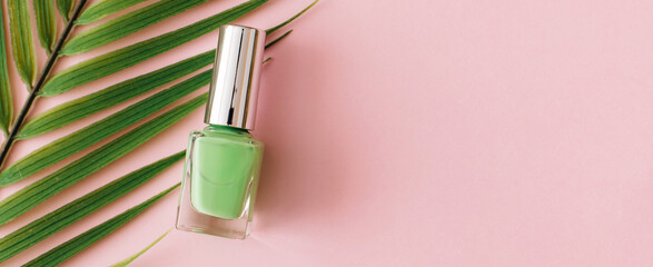 Banner Bottle of green nail polish and palm tree branch on pastel pink background. Manicure and pedicure concept. Flat lay, top view, copy space