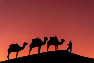 Fototapeta na wymiar Silhouette Of Camels Against The Sun Rising In The Sahara Desert In Morocco
