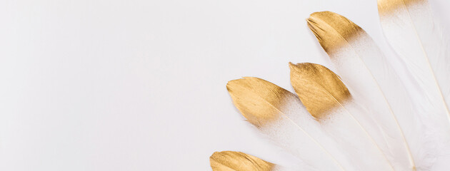 Banner White feathers with gold glitter on white background. Flat lay, top view, copy space