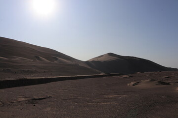 monte