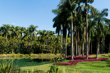 Lindo jardim com lago artificial ao fundo, muitas árvores e plantas ornamentais em volta e um lindo céu azul no museu a céu aberto de Minas Gerais.