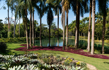 Lindo jardim com lago artificial ao fundo, muitas palmeiras e plantas ornamentais ao redor no museu a céu aberto de Minas Gerais.