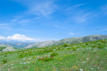 An inspiring scenic summer field landscape.