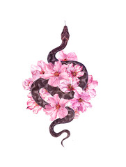 Snake and cherry blossom flowers. Watercolor pink blooming plants bouquet and wild reptile - 491328982