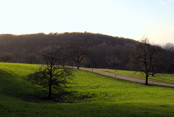 K&ouml;nigstuhl in Heidelberg