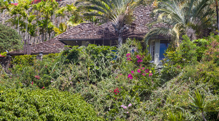 Fototapeta premium old house in the garden