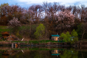 house on the lake in the spring . Camping house . Reflection on the water . Sunset in the forest . Lake in forest 