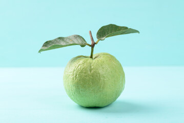 Fresh Guava fruit with leaf on color background, Tropical high vitamin C fruit