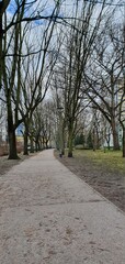 alley in the park