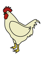 イラスト素材：ラフなタッチの鶏のイラスト