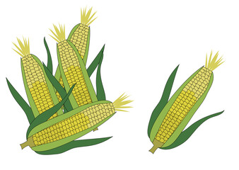 複数・一本のみのトウモロコシのイラストセット（穀物栽培や飼料、バイオマスのイメージに）