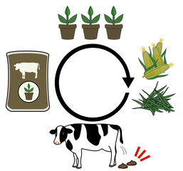ラフなタッチの牛糞堆肥から植物栽培、飼料の流れをイメージしたイラストセット（文字スペースあり）