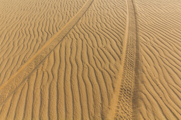 Car tracks in a sand desert