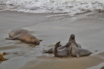 Highway 1, California