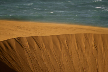 Point Reyes Dunes