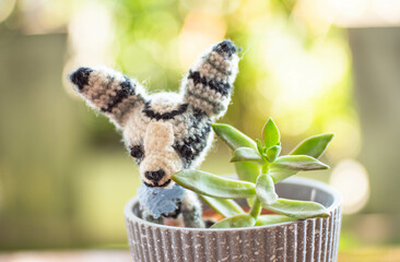 knitted teddy dog with succulent in a pot.