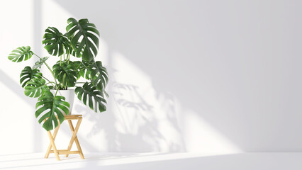 3D render close up of philodendron monstera a trendy decoration plants in a pot on wooden table stand inside empty room with morning sunlight and leaves shadow on blank white wall in background. Decor © myboys.me