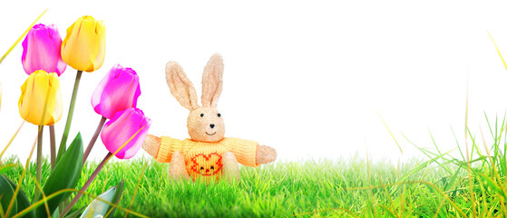 Funny Easter bunny. Happy Easter holiday concept.