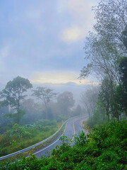 country road pass through green forest with misty fog atmosphere in morning