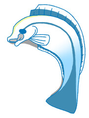 満足そうにねころぶホンソメワケベラ（青色）