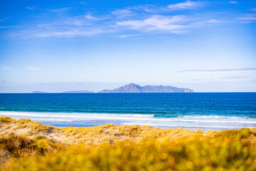Beautiful day at the beach in New Zealand