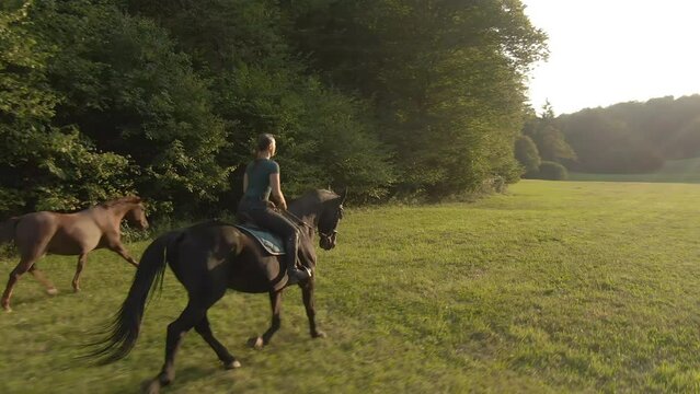 AERIAL, LENS FLARE: Cinematic drone point of view of female horseback rider galloping at sunrise. Golden summer evening sunbeams shine on an Caucasian woman horseback riding across a vast meadow.