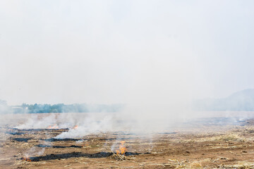 Burning straw in rice plantation in thailand.