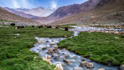 Landscape sandstone mountains with river and green valley in Himalayas. Nubra valley, Jammu and Kashmir, India. © Kalyakan