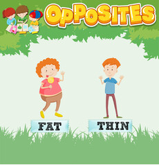 Opposite words for fat and thin
