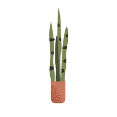Sansevieria, green snake plant in pot. Tall devil s tongue with long upright leaf in planter. Home and office indoor succulent, houseplant. Flat vector illustration isolated on white background
