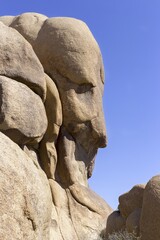 Face Rock Stone Feature Portrait in Joshua Tree National Park, California USA