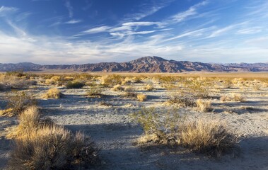 Sonoran Desert Landscape with Low Prairie Grass, Blue Sky and Distant Mountain Peak on Horizon. Scenic Driving in Joshua Tree National Park, California USA