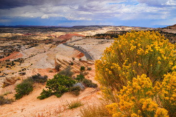 Spectacular Utah Scenic Highway 12 winding through the sandstone landscape of the Grand Staircase-Escalante National Monument between Escalante and Boulder, Utah, USA