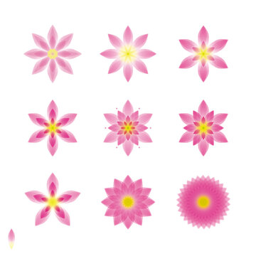 ピンクの花々　水彩風イラスト	