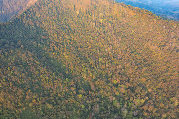Aerial top view of forest trees and green mountain hills with fog, mist and clouds. Nature landscape background, Thailand.