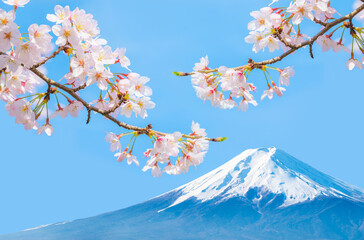満開の桜と富士山と青空・日本の春のイメージ風景