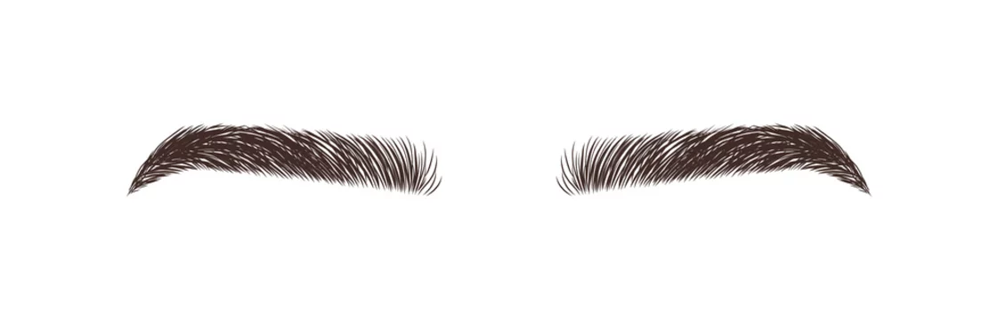 Stockvector Female eyebrows on white background. Permanent make up