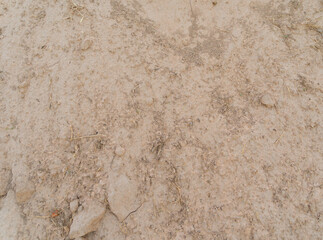 Soil fertile ground surface. Close up of natural pattern texture background. Top view of organic dirt in garden.
