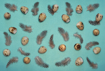   Feathers and shells of quail eggs isolated on a turquoise blue glitter background. Pattern from feathers and shells of quail eggs .Top view