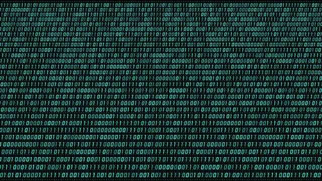 Big data information flow binary program code.