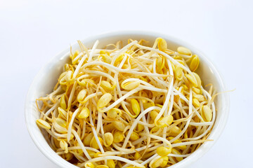 Fresh soybean sprouts for cooking.