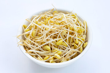 Fresh soybean sprouts for cooking.