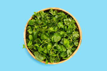 Watercress in bamboo basket on blue background