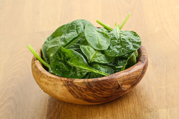 Fresh green spinach leaves in the bowl
